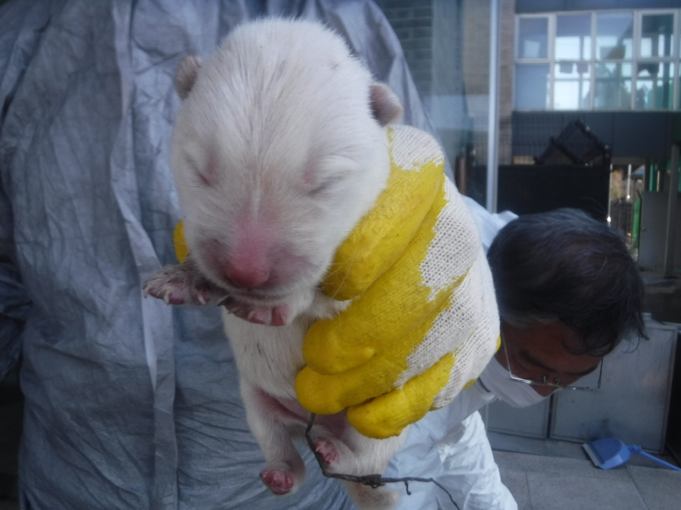 제주 동물보호센터_450650202300988